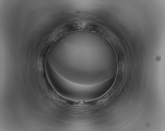 X0000097650754200802291450