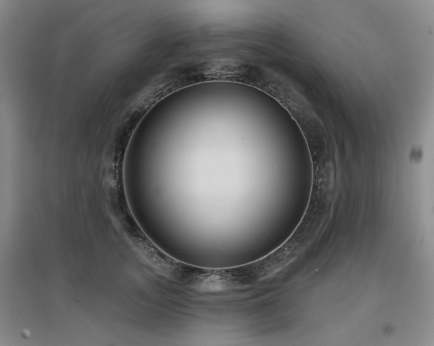 X0000097650755200802291450