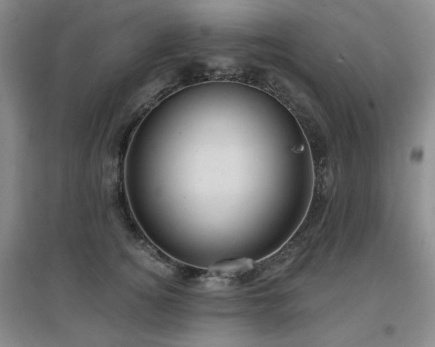 X0000097650756200802291450