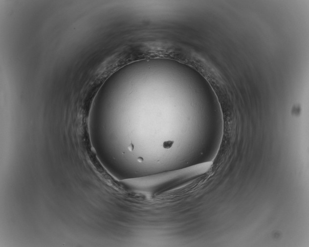 X0000097650757200802291450