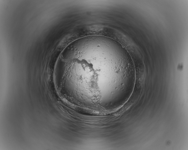 X0000097650758200802291450