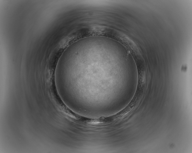 X0000097650759200802291450