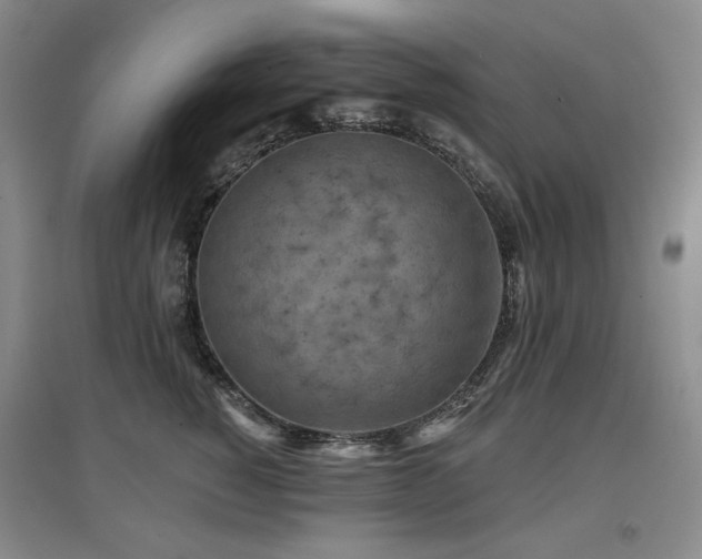 X0000097650760200802291450