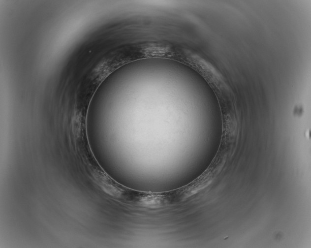 X0000097650761200802291450