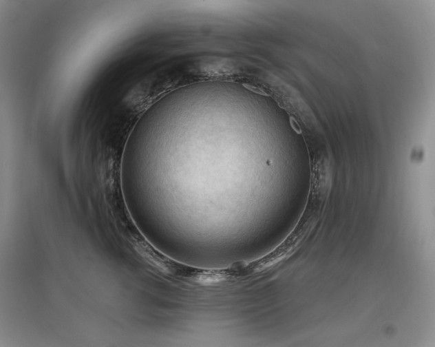 X0000097650762200802291450