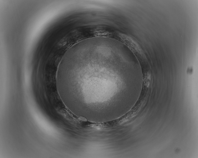 X0000097650763200802291450