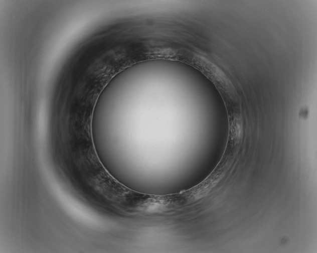 X0000097650764200802291450