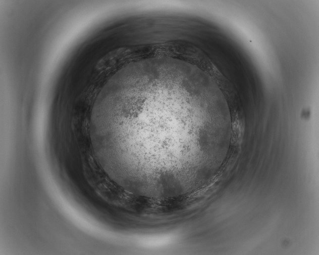 X0000097650765200802291450