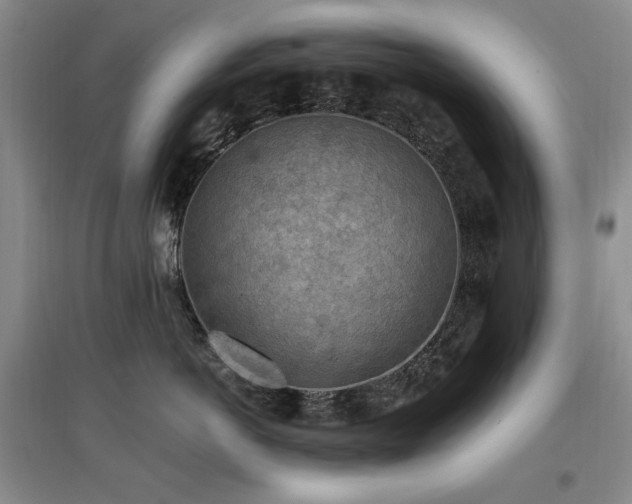 X0000097650766200802291450