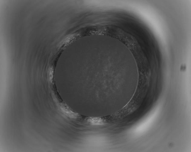 X0000097650767200802291450