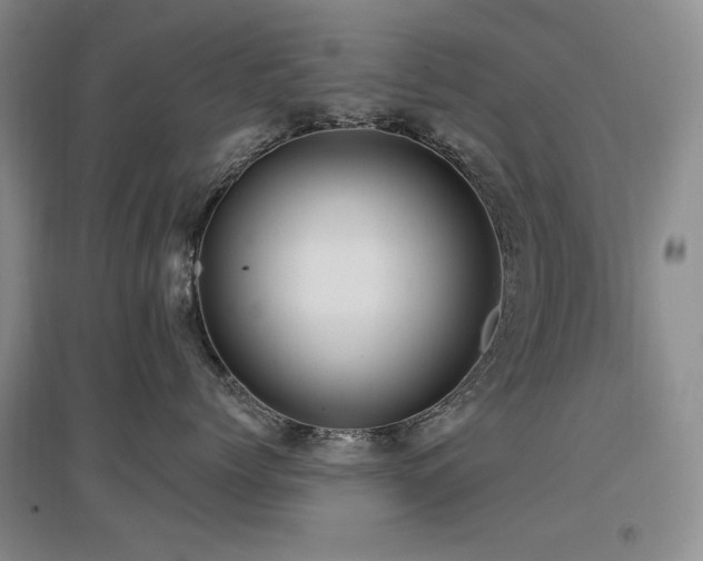 X0000097650768200802291450