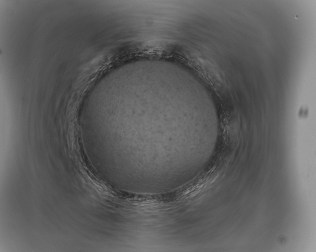 X0000097650769200802291449