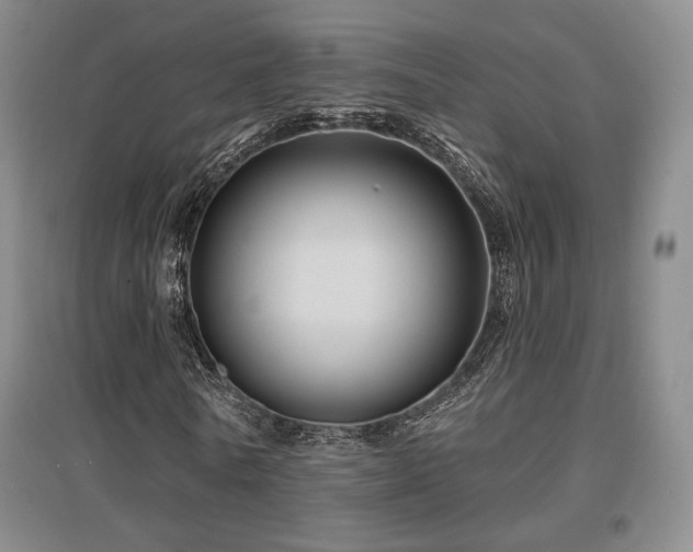 X0000097650770200802291449