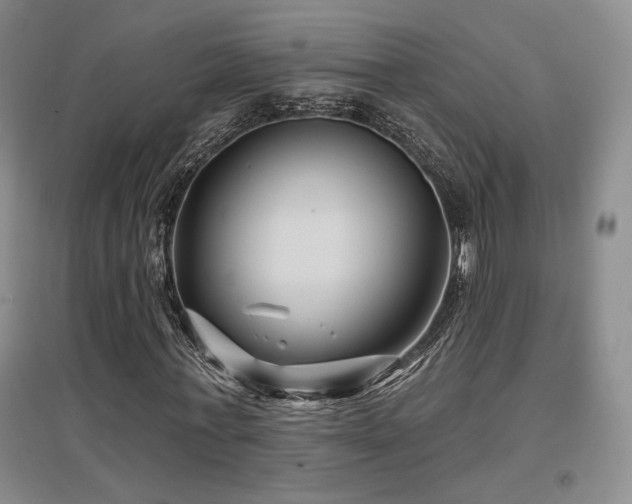 X0000097650771200802291449