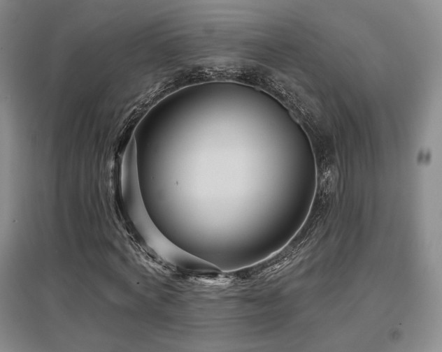 X0000097650772200802291449