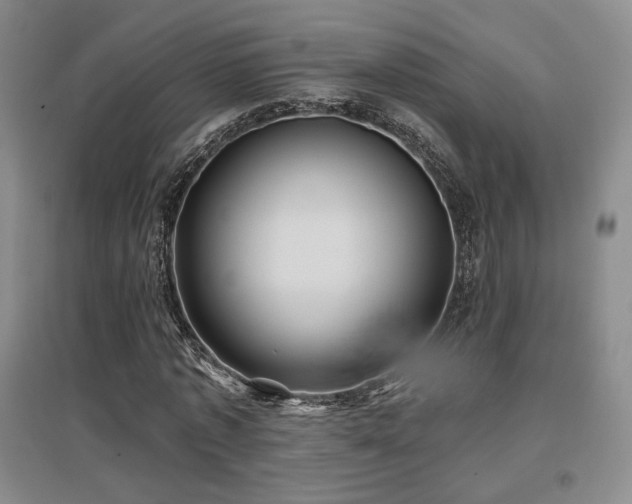 X0000097650773200802291449