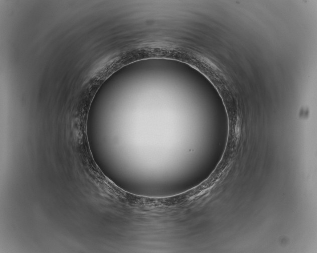 X0000097650774200802291449