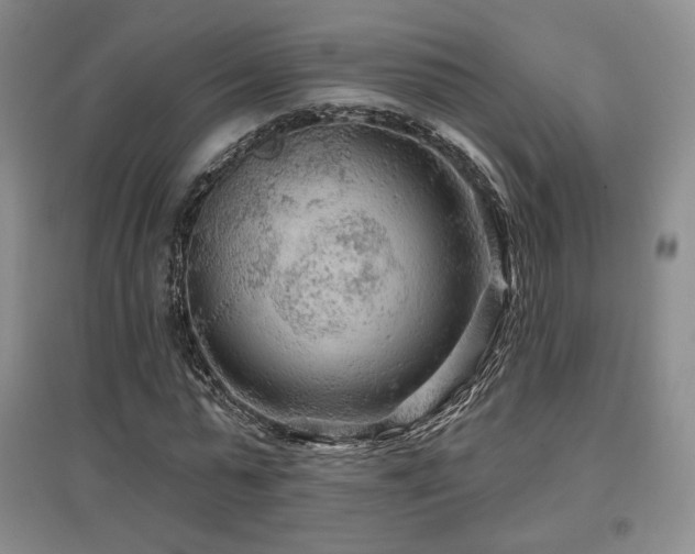 X0000097650775200802291449