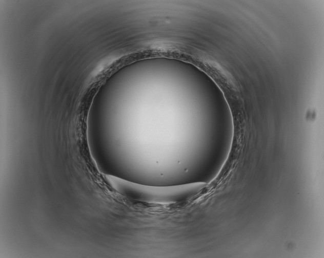 X0000097650776200802291449