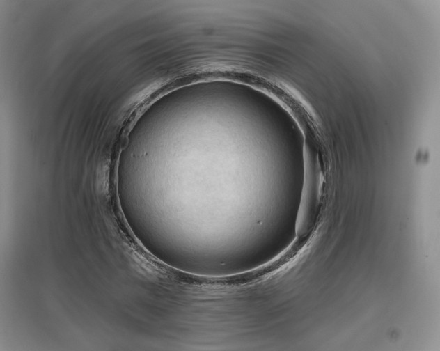 X0000097650777200802291449