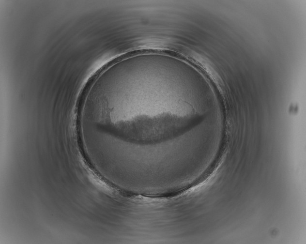 X0000097650779200802291449