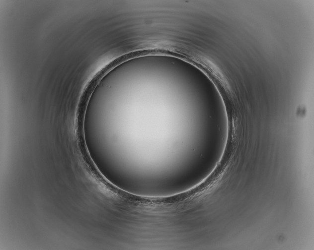 X0000097650780200802291449