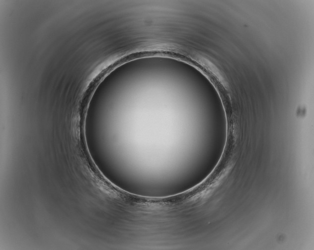 X0000097650781200802291449