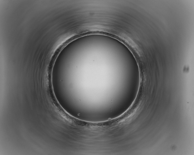 X0000097650782200802291449