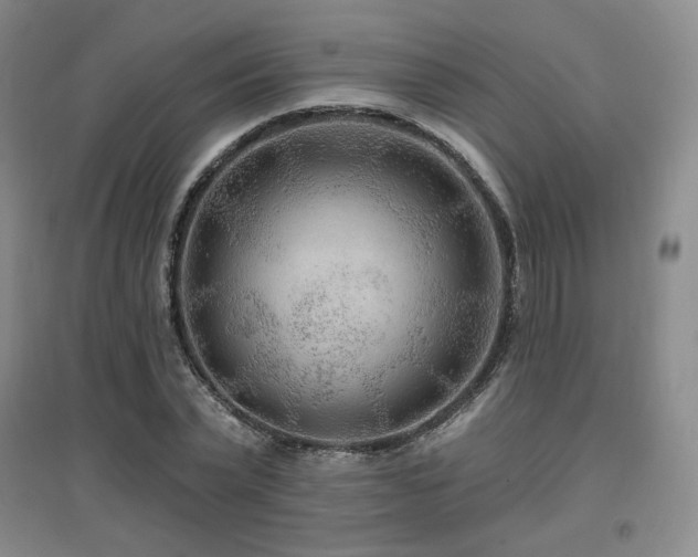 X0000097650783200802291449