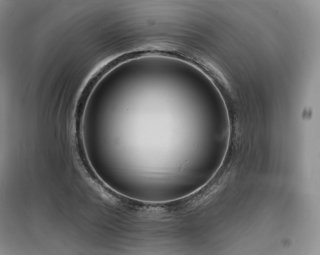 X0000097650784200802291449