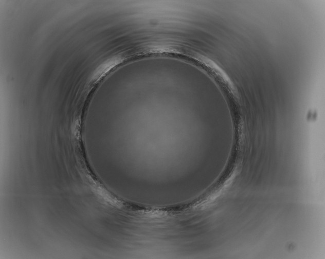 X0000097650785200802291449