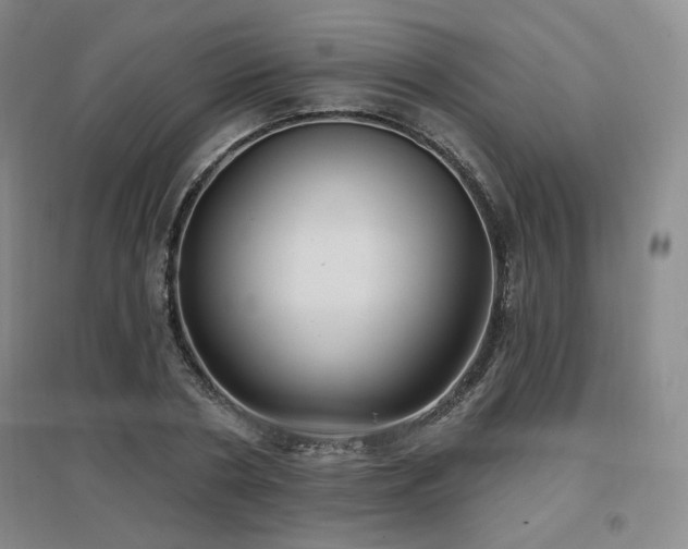 X0000097650786200802291449