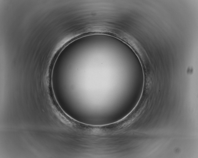 X0000097650787200802291449