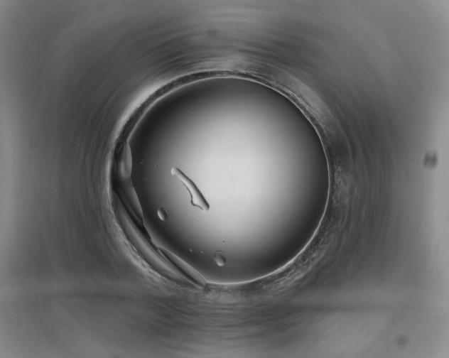 X0000097650788200802291449