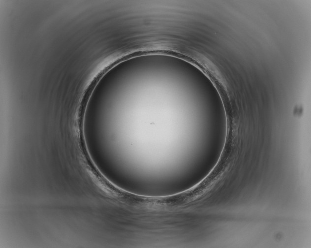 X0000097650789200802291449