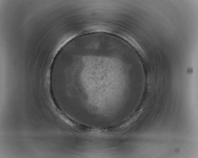 X0000097650790200802291449