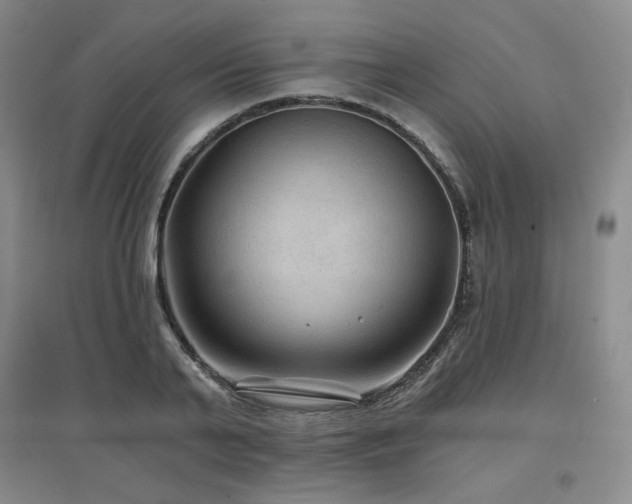 X0000097650791200802291449