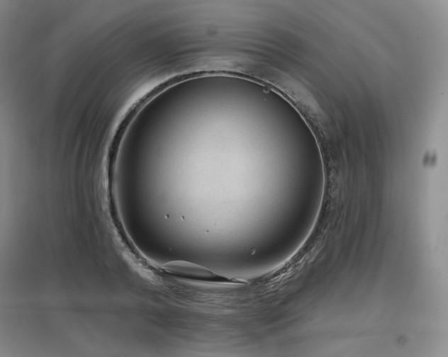 X0000097650792200802291449