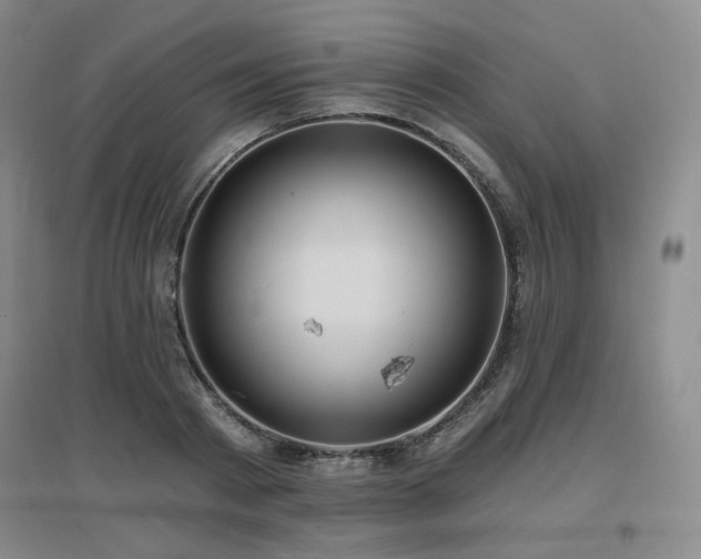 X0000097650793200802291449