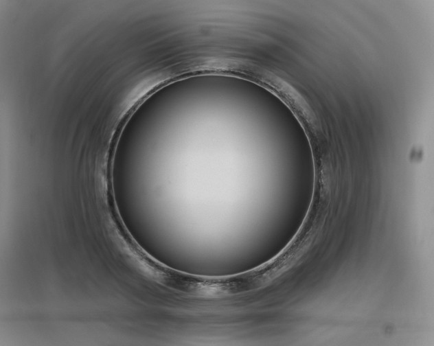 X0000097650794200802291449