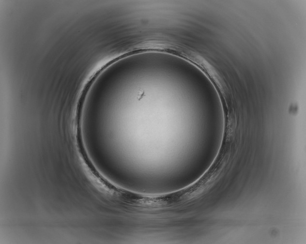 X0000097650795200802291449