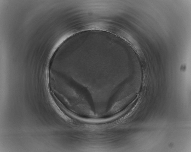 X0000097650796200802291449