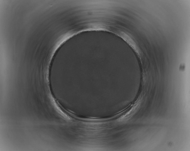 X0000097650797200802291449