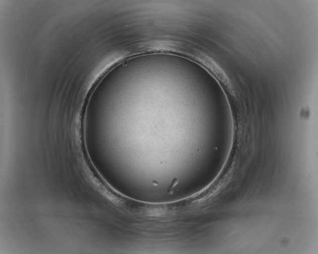 X0000097650798200802291449