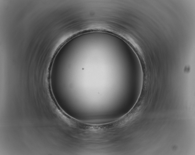 X0000097650799200802291449