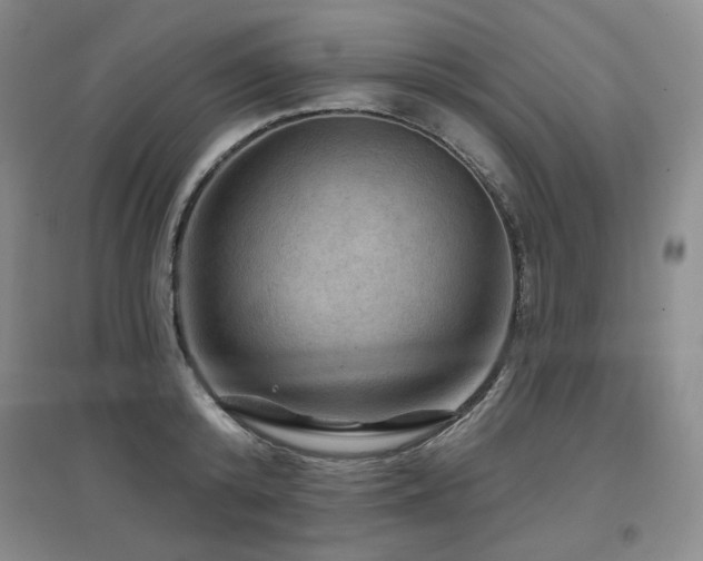 X0000097650800200802291449