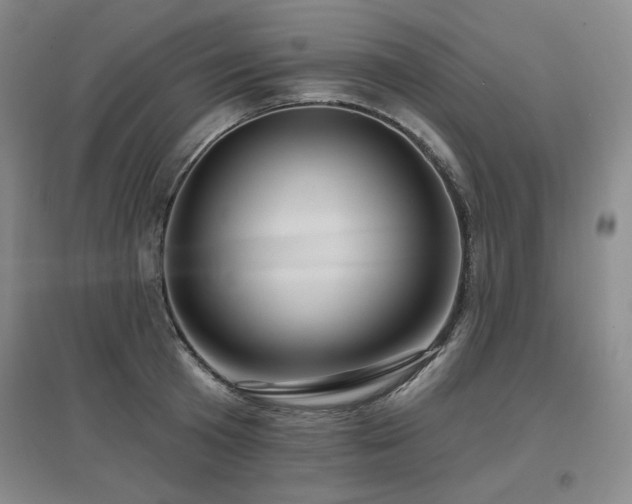 X0000097650801200802291449