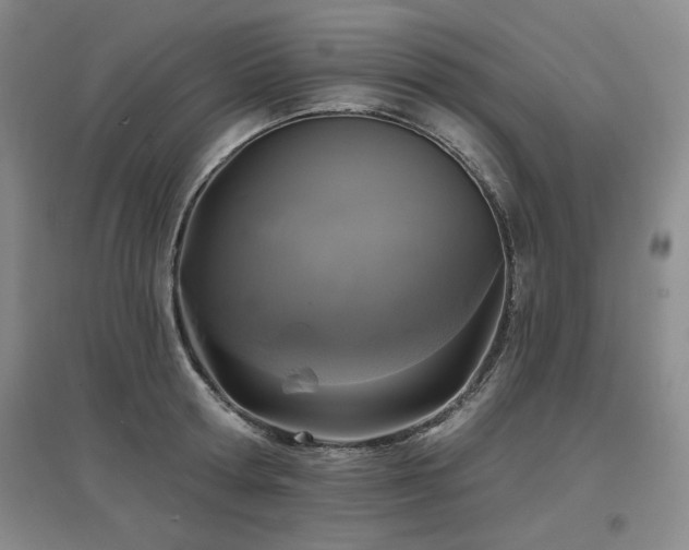 X0000097650802200802291449