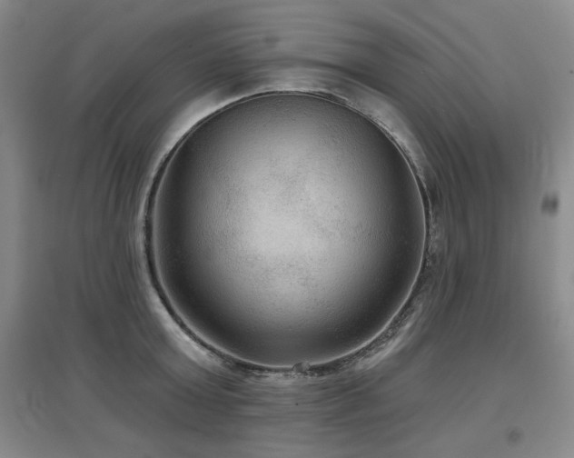 X0000097650803200802291449