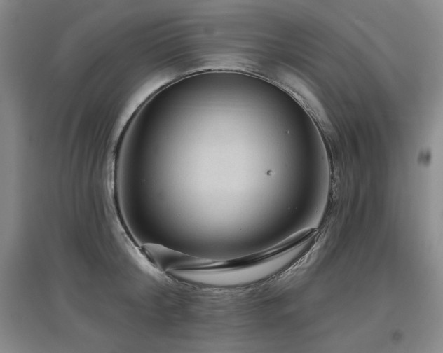 X0000097650804200802291449